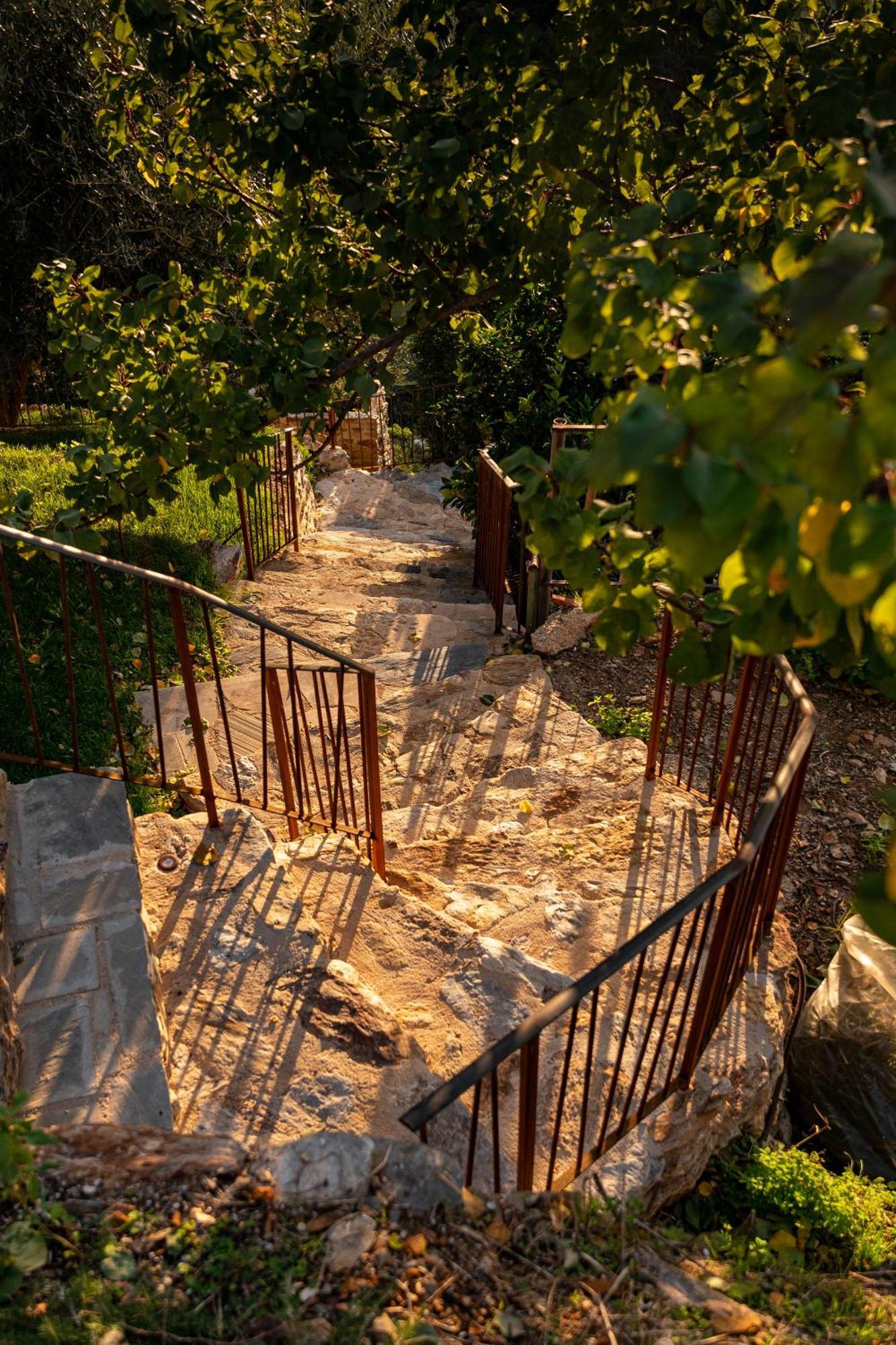 Tenuta Zamparina Montignoso Exterior foto