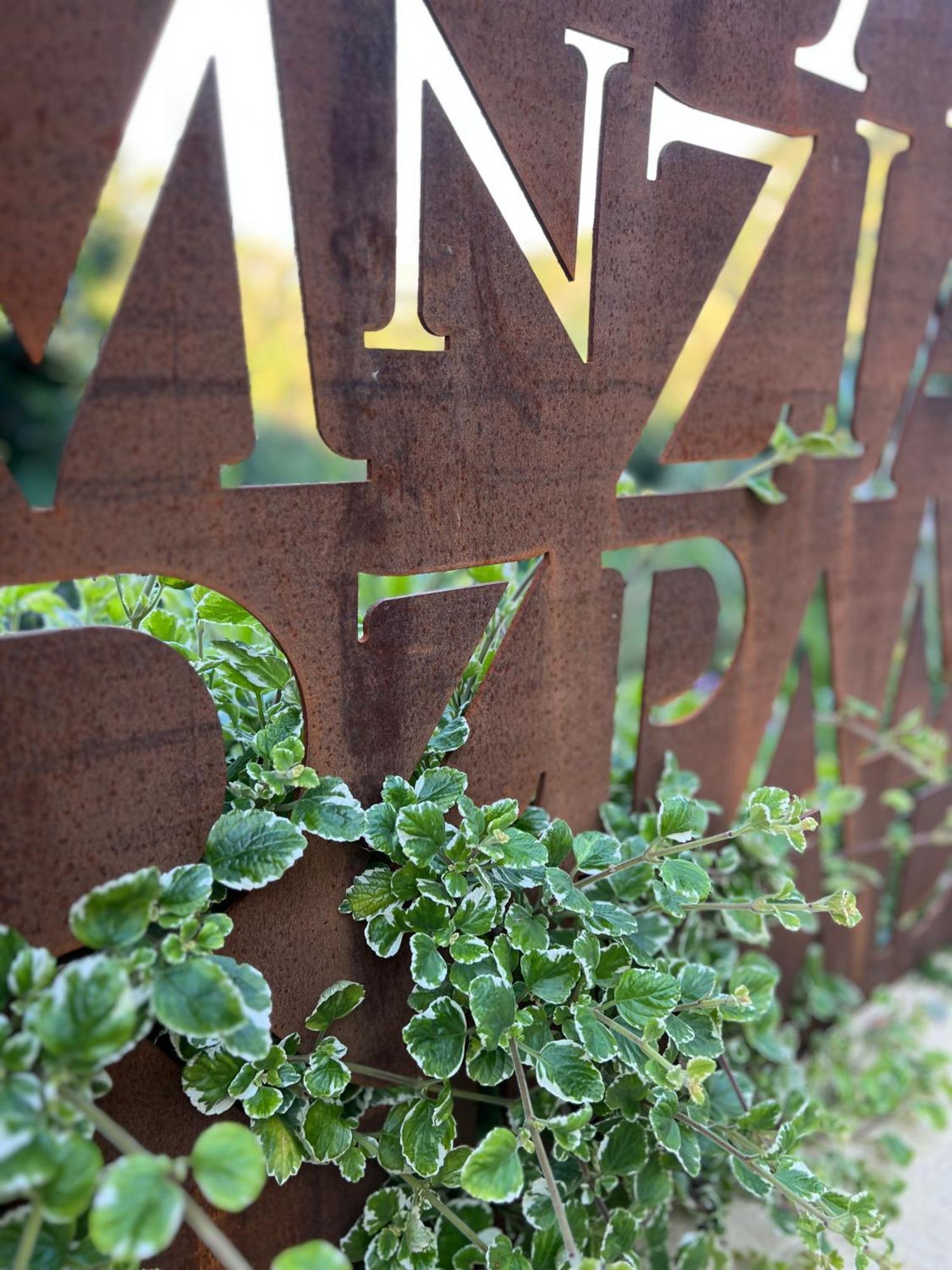 Tenuta Zamparina Montignoso Exterior foto